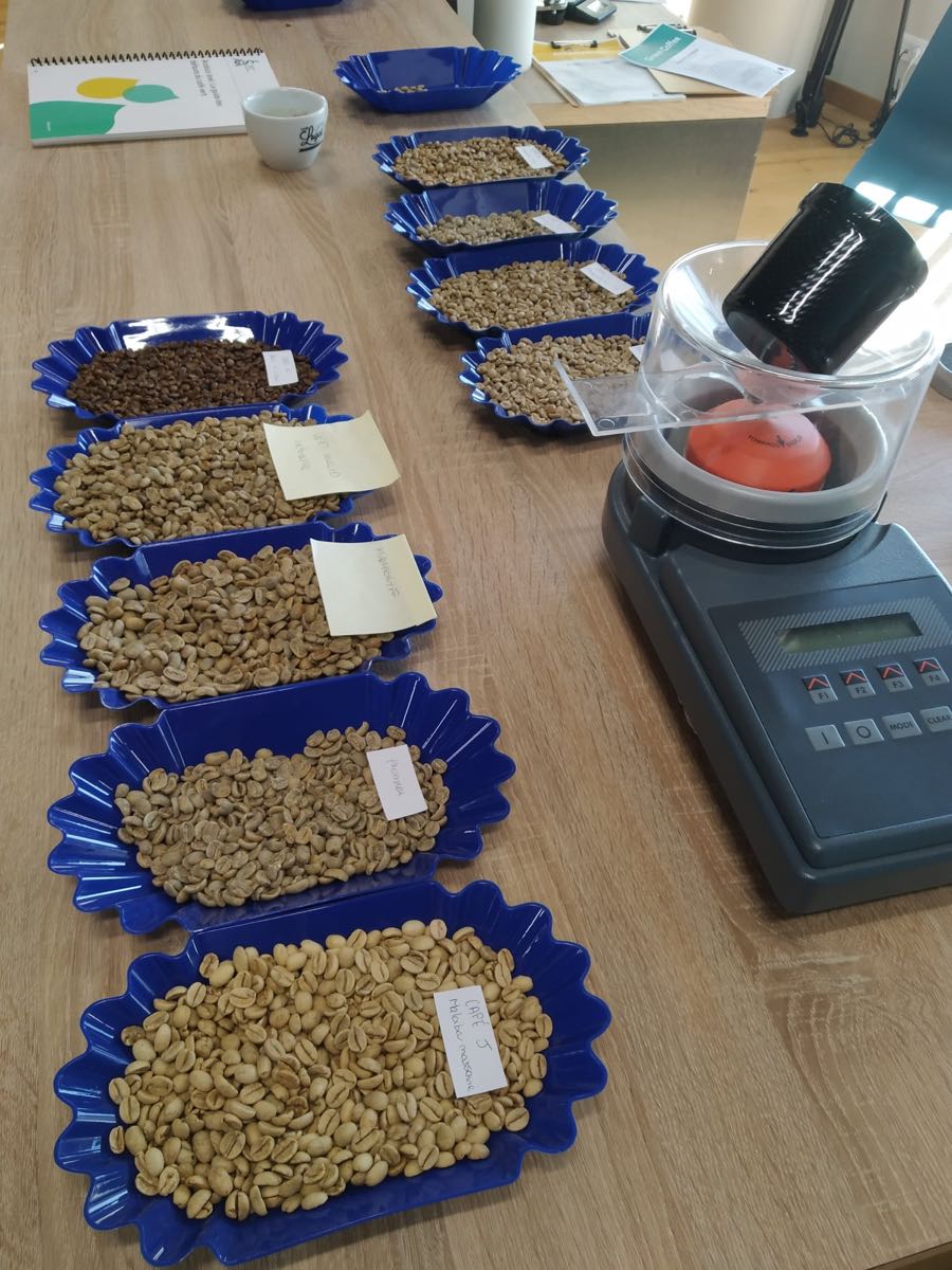 Sélection de grains de café avant torréfaction
